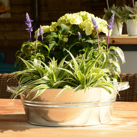 Zinkwanne 12 Liter Rund mit Griffen