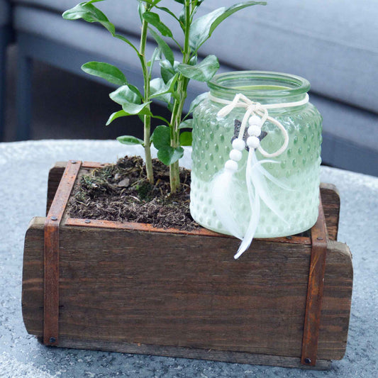 Pflanztopf Ziegelform aus Holz Natur