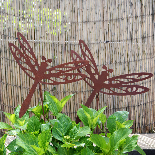 Stecker Libelle Rost im 2er Set