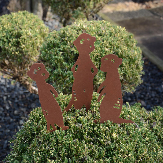Gartenstecker Rost Erdmännchen 3er Set