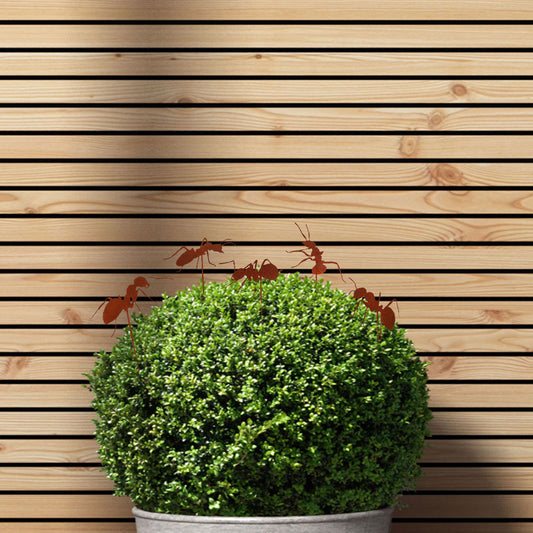 Stecker Rost mit 5 Ameisen