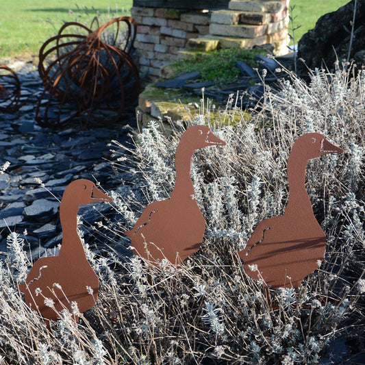 Gartenstecker Rost Gänse 3er Set