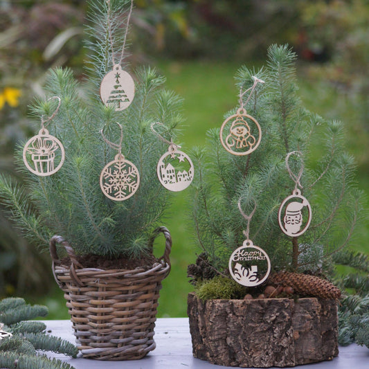 Weihnachtsanhänger 12er Set verschiedene Farben