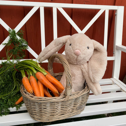 Einkaufskorb für Kinder
