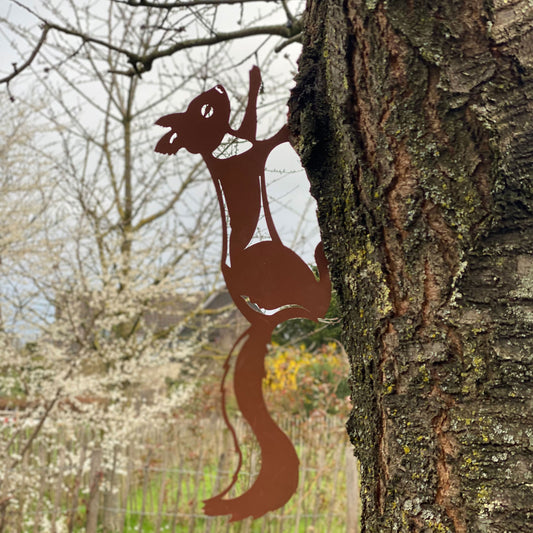 Baumstecker Rost Eichhörnchen läuft