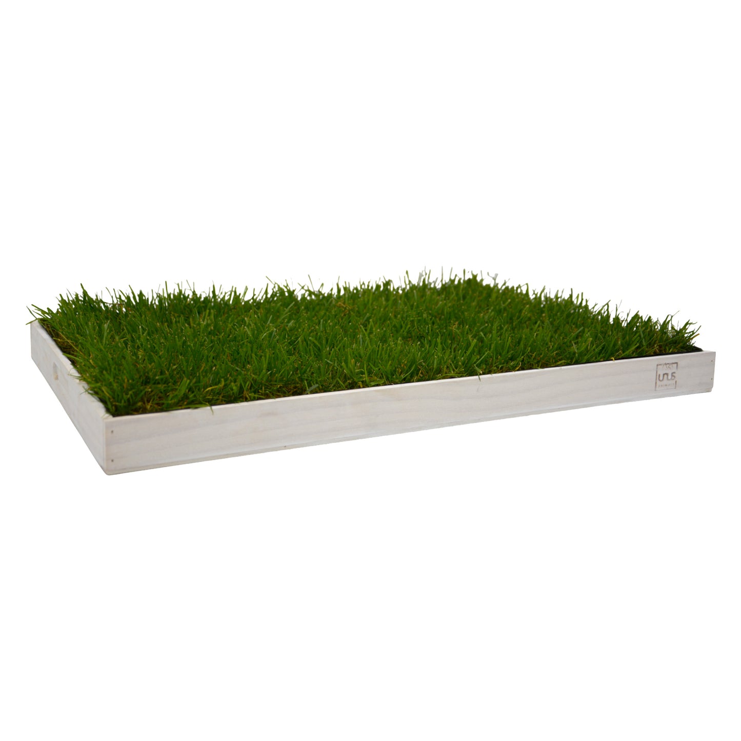 Katzengras inklusive Holztablett