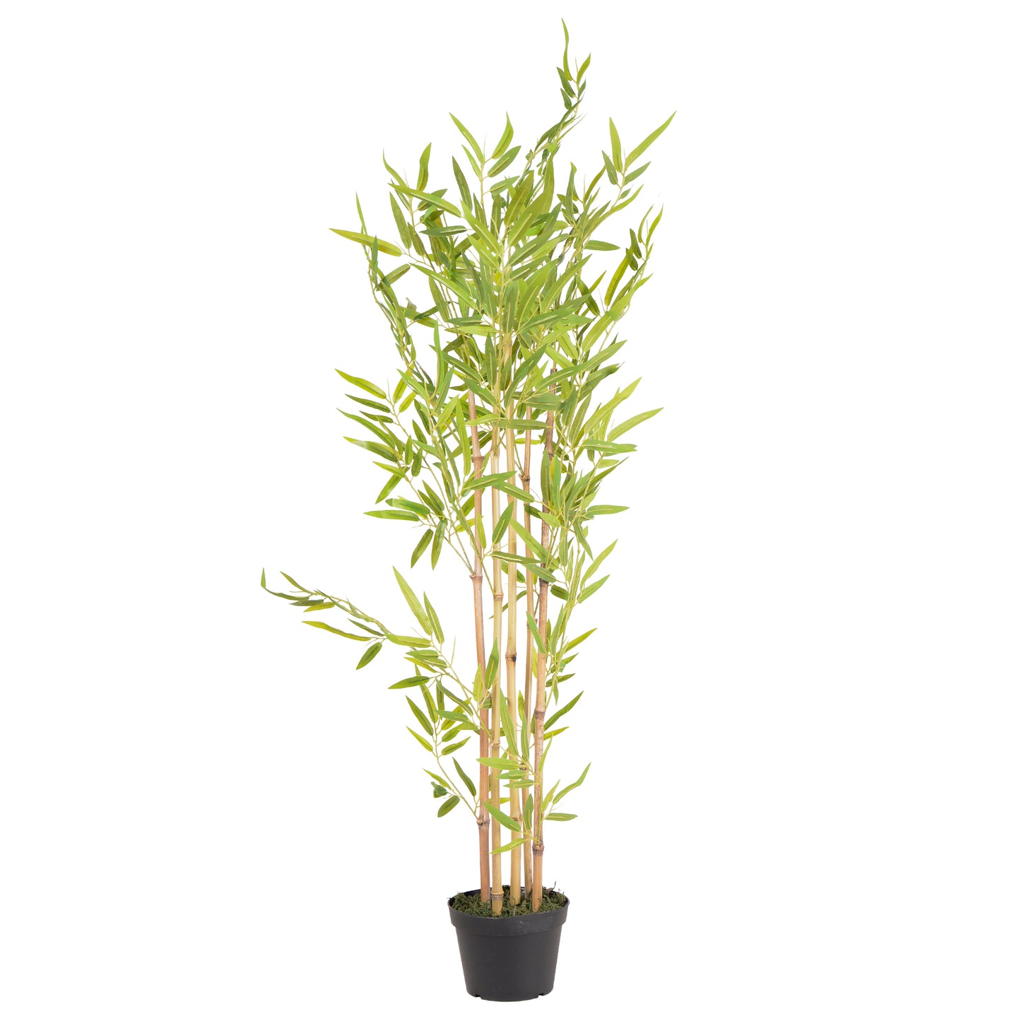 Kunstpflanze Bambus Echtholzstamm in verschiedenen Größen