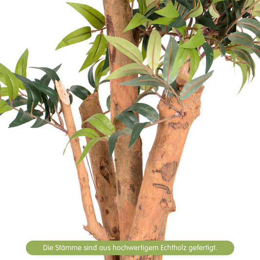 Kunstpflanze Ficus Ruscus Echtholzstamm in verschiedenen Größen