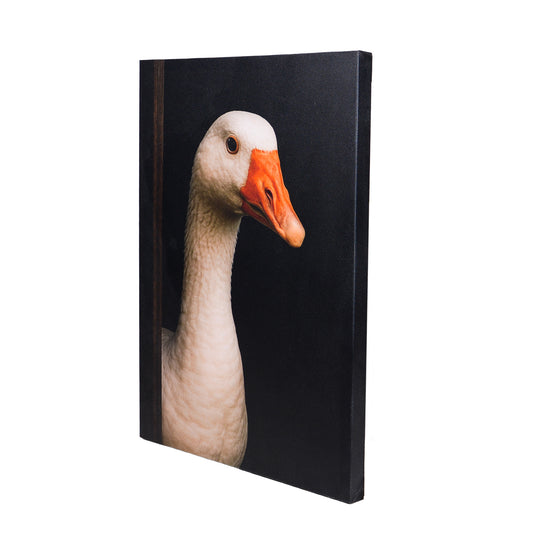 Leinwand Tierportrait Gans bespannter Keilrahmen