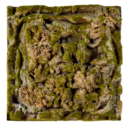 Terrarium Rückwände für 60x60cm Terrarien