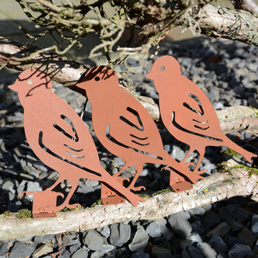 Baumstecker Rost Vögel 3er Set