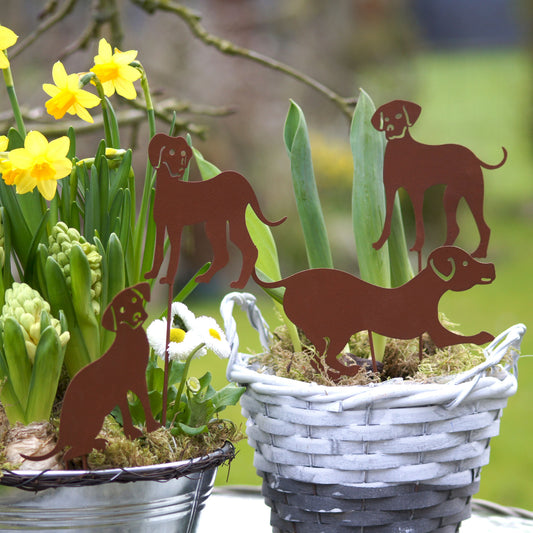 Gartenstecker Rost Hunde 4er Set