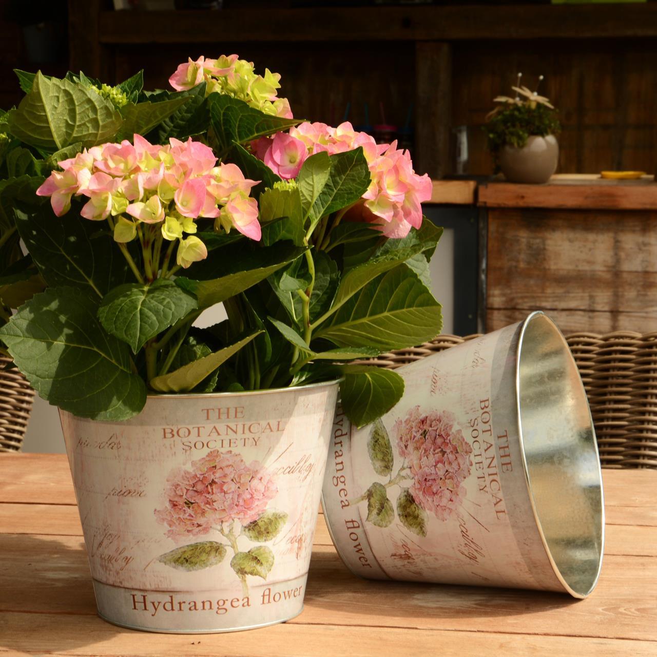 Topf Zink rund Hortensie 2er Set
