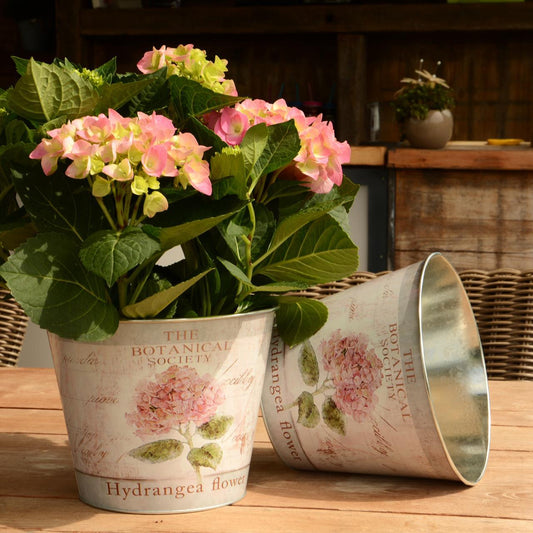 Topf Zink rund Hortensie 2er Set