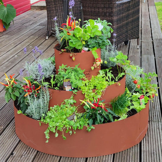 Kräuterschnecke mit drei Ringen in 2 Größen