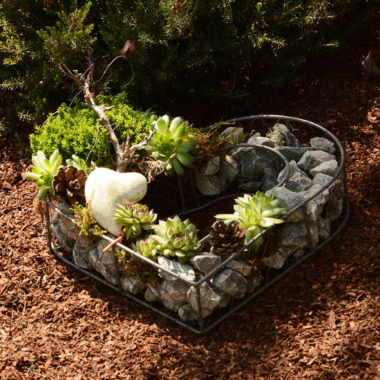 Herz Metall z Bepflanzen/Befüllen m Steinen