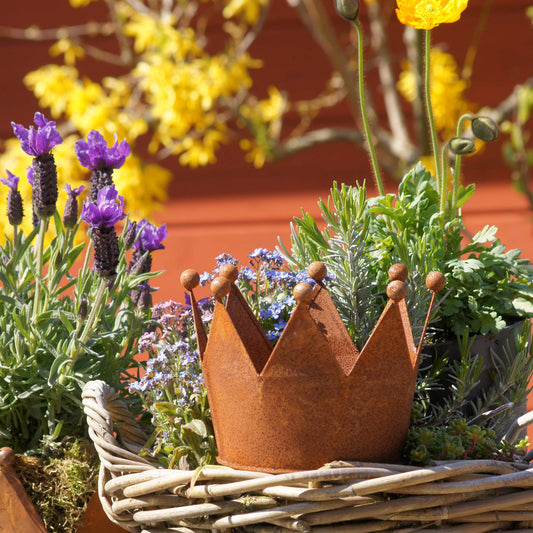 Krone Zink Rost Ø17