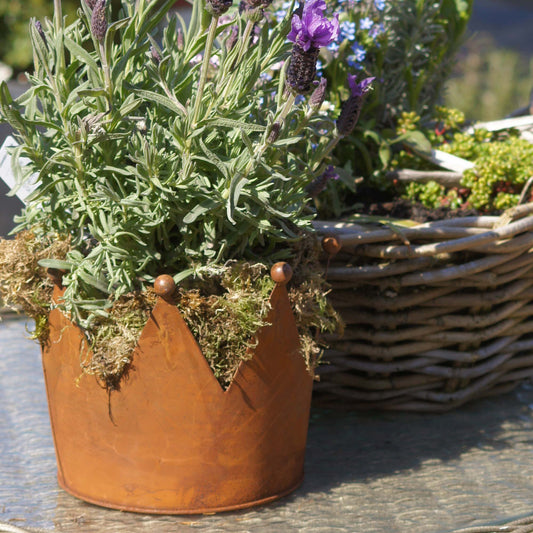 Krone Zink Rost Ø20