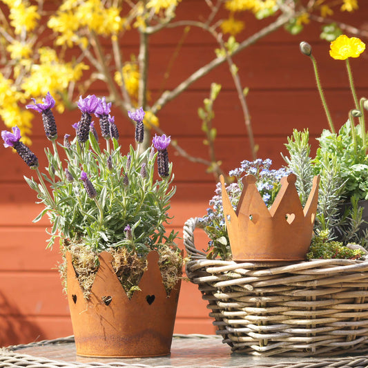 Krone Zink Rost m Herzen Rost Ø18 im 2er Set