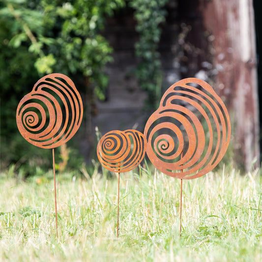 Roststecker Muscheln verschiedene Größen