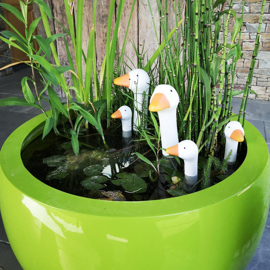 Stecker Gänsekopf verschiedene Sets