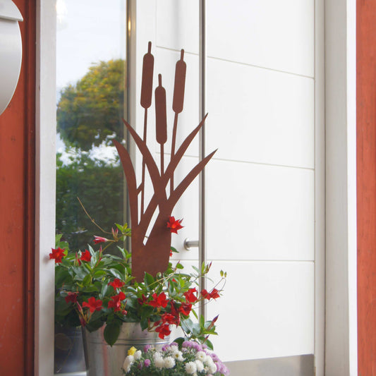 Stecker Rost Schilfgräser