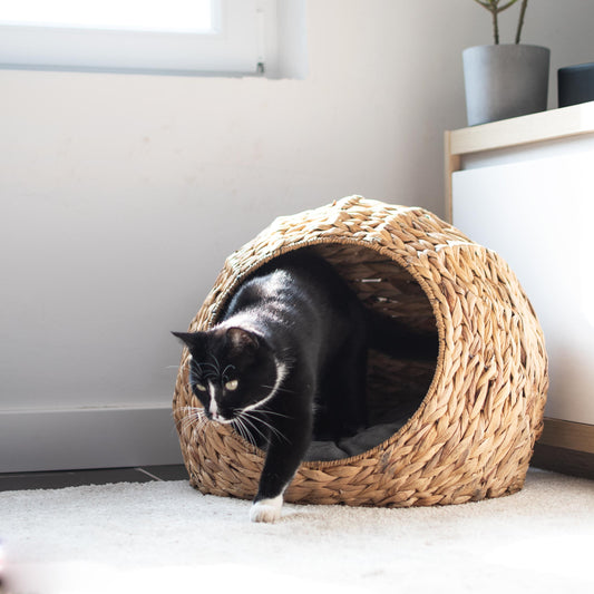 Haustierkorb rund/kugelform mit Öffnung natur mit Kissen grau