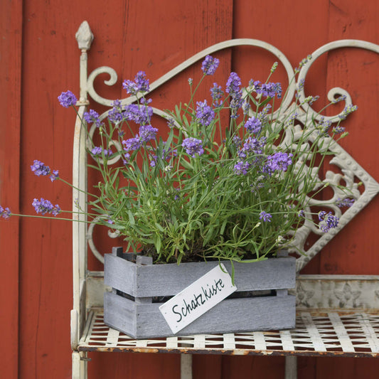 Kiste Holz rechteckig mit Kunststoffeinsatz grau washed "Schatzkiste" 3er Set