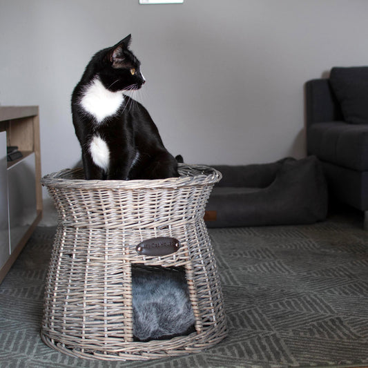 Katzenkörbchen, Katzenkorb, Katzenturm aus Rattan in Grau