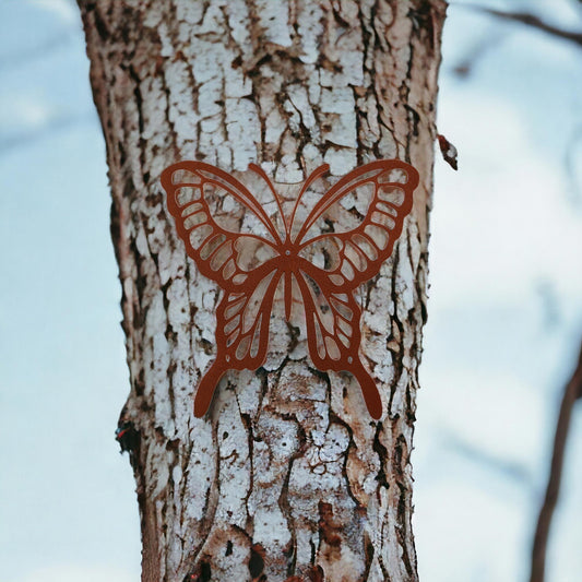 Baumstecker Rost Schmetterling