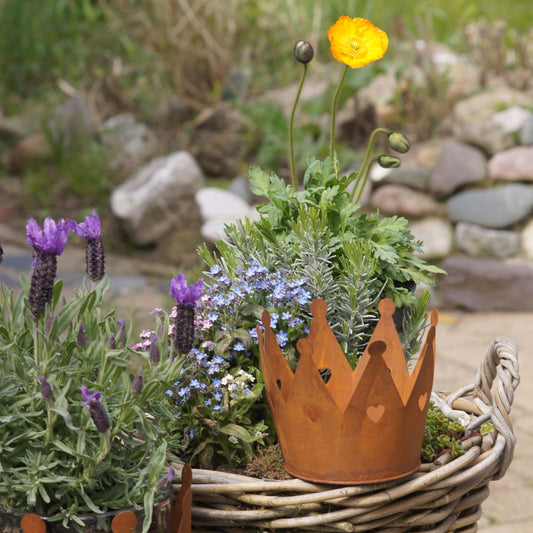 Krone Zink Rost m Herzen Rost Ø15