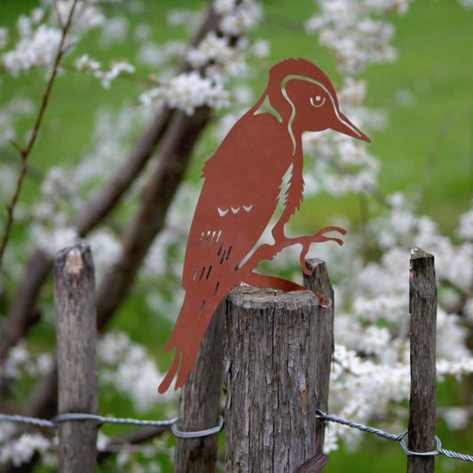 Baumstecker Specht Rostoptik