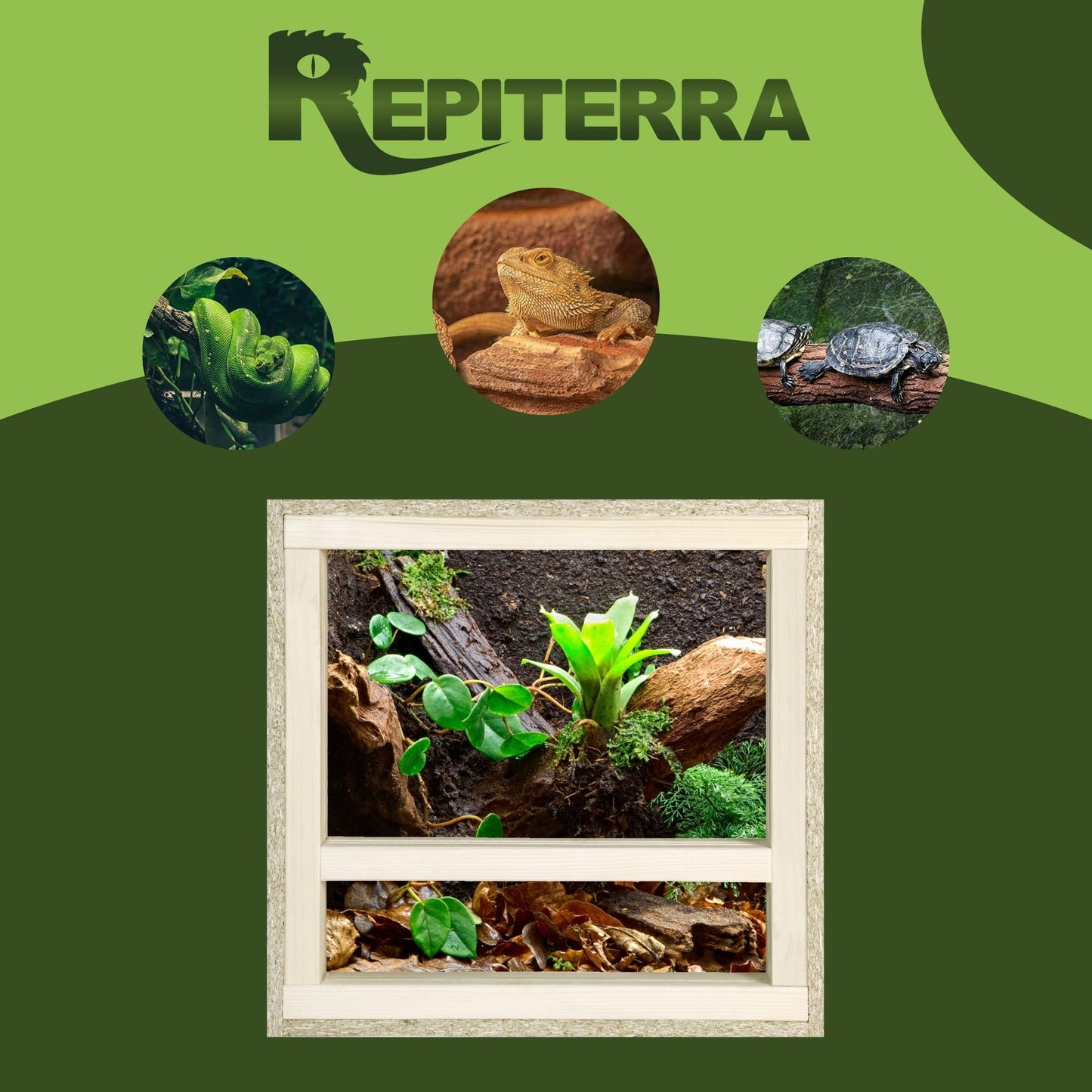 Repiterra Holz Terrarium mit Seitenbelüftung 40x40x40 cm