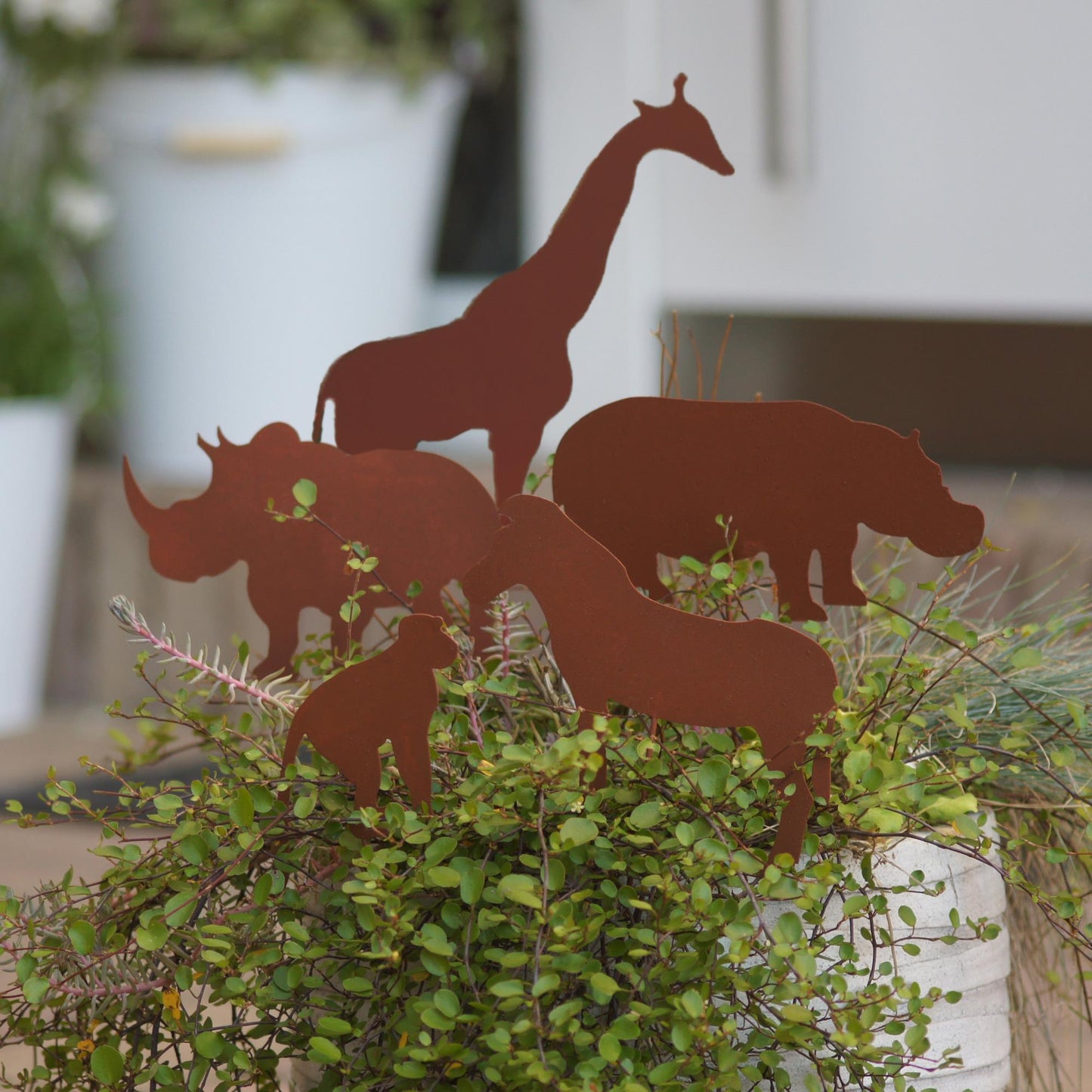 Gartenstecker 5er Set Tiere aus Afrika