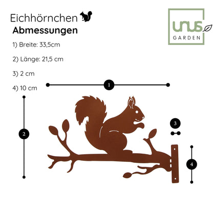 Baumstecker Rost Eichhörnchen auf einem Ast