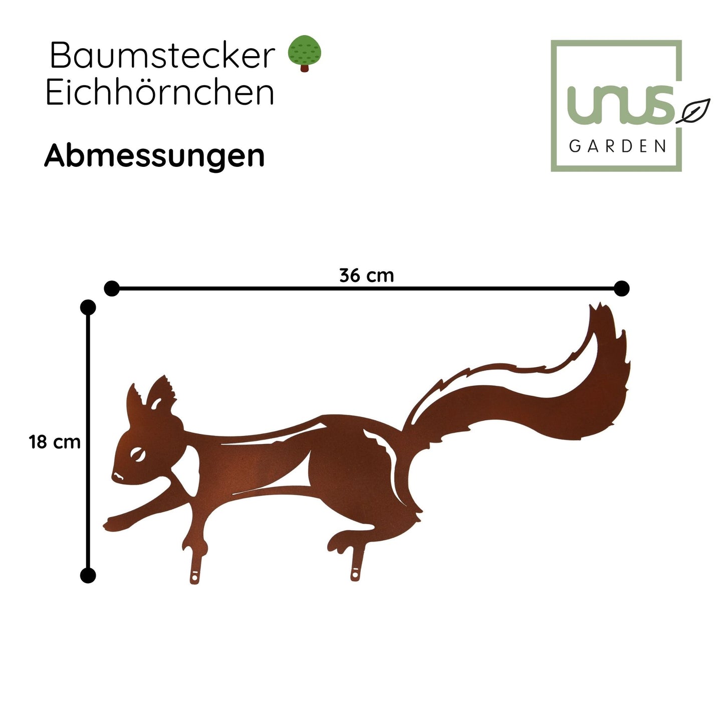 Baumstecker Rost Eichhörnchen läuft