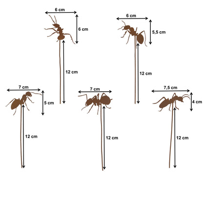 Stecker Rost mit 5 Ameisen