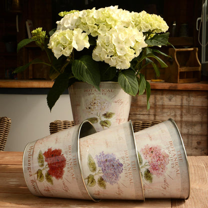 Topf Zink rund Hortensie 4er Set