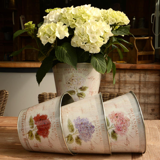 Topf Zink rund Hortensie 4er Set