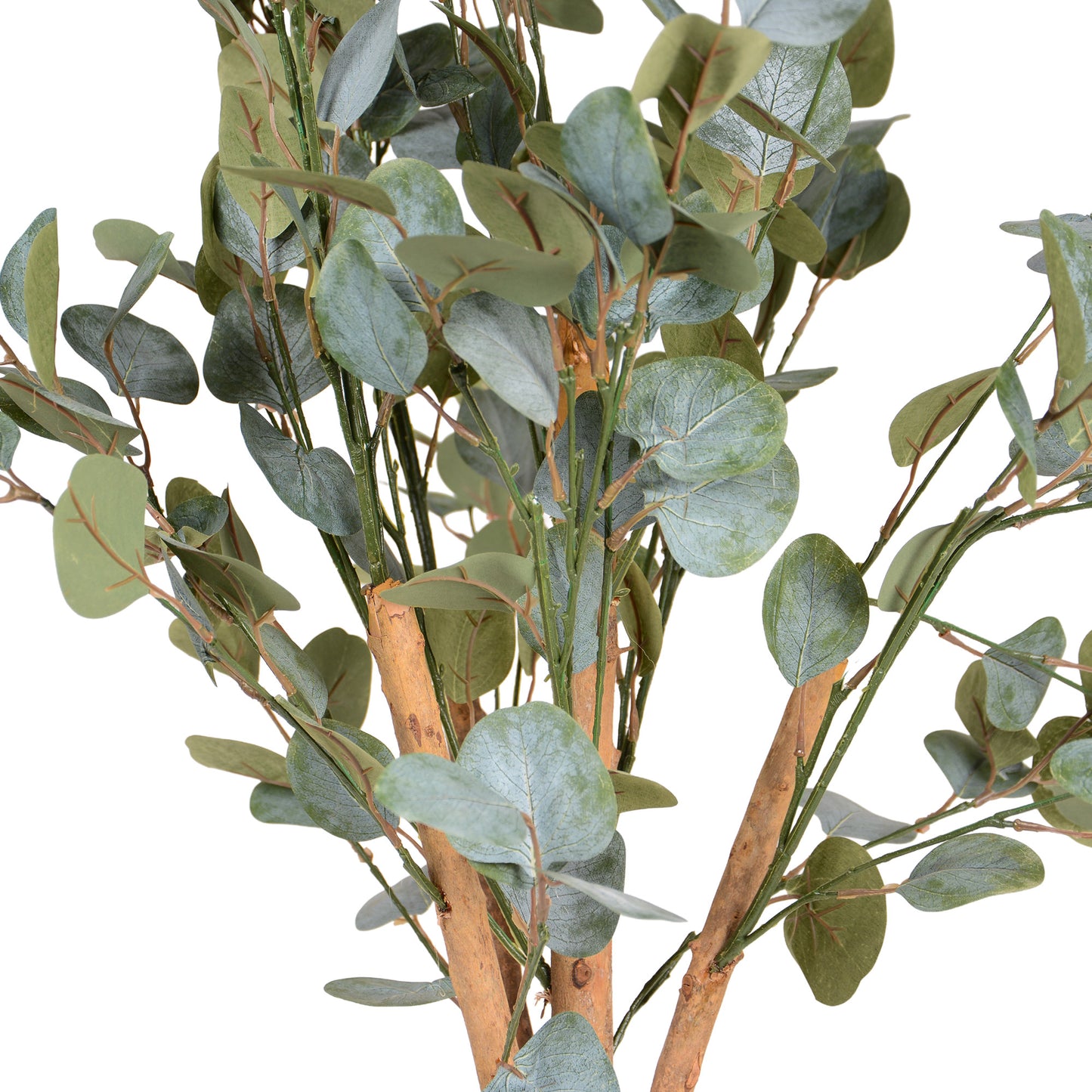 Kunstpflanze Eukalyptus Echtholzstamm in verschiedenen Größen