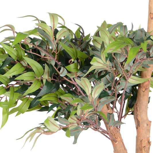 Kunstpflanze Ficus Ruscus Echtholzstamm in verschiedenen Größen