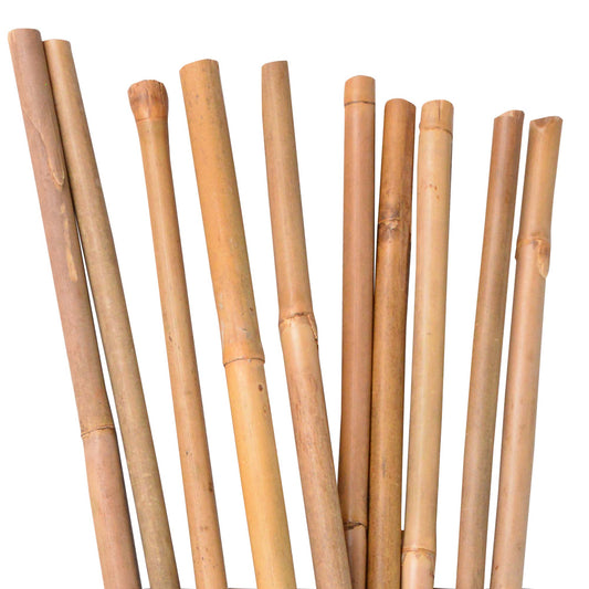 Bambusstäbe 105 cm lang Ø8-10mm
