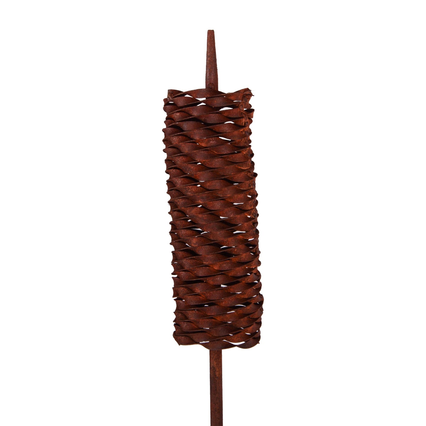 Roststecker Schilfgras klein 82cm