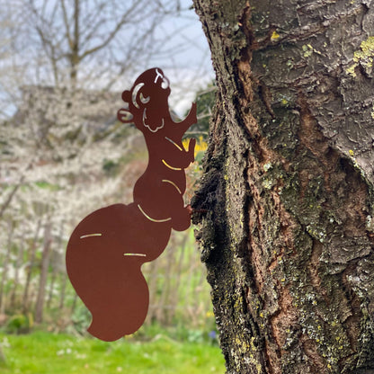 Baumstecker Rost Eichhörnchen laufend