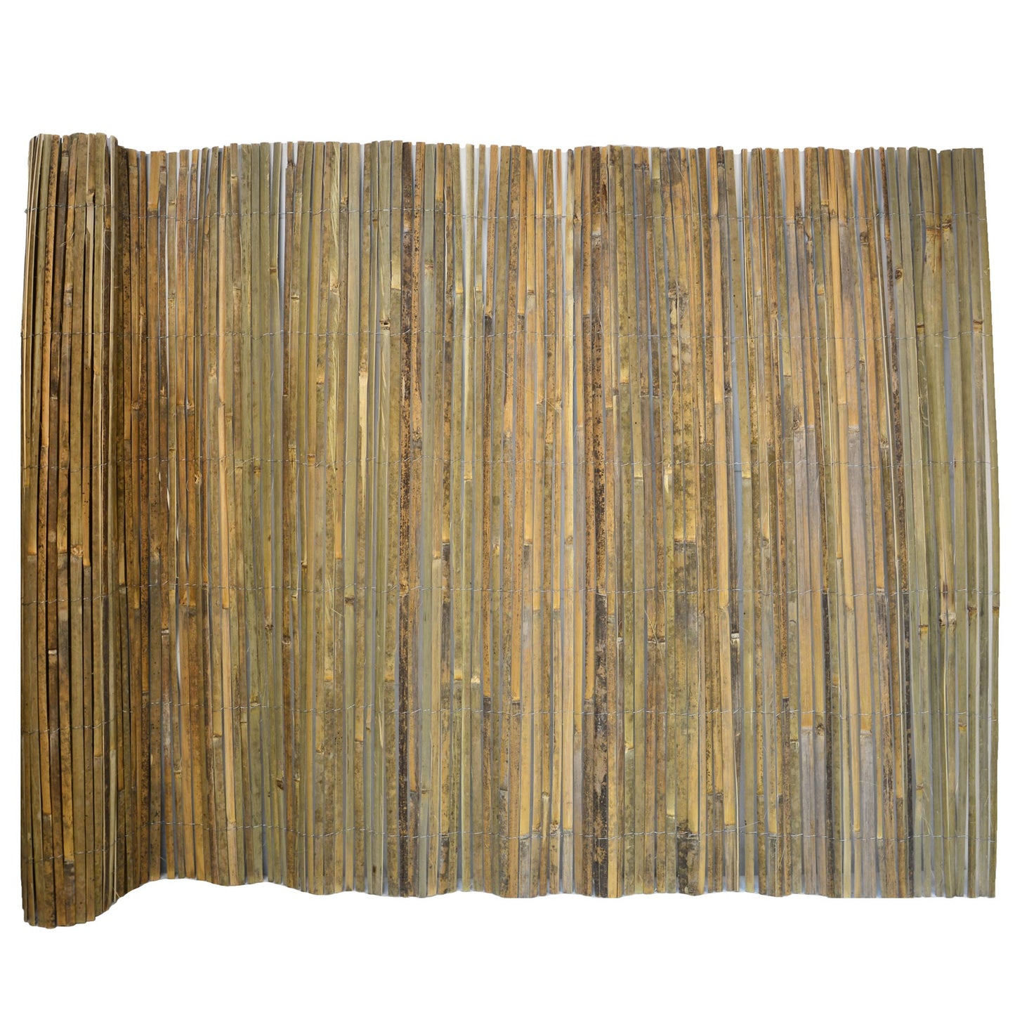 Bambusmatte Sichtschutz flacher Bambus 160x300 cm