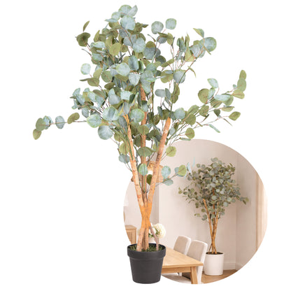 Kunstpflanze Eukalyptus Echtholzstamm in verschiedenen Größen