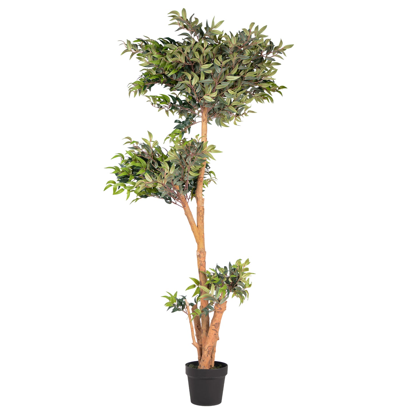 Kunstpflanze Ficus Ruscus Echtholzstamm in verschiedenen Größen