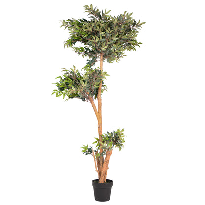 Kunstpflanze Ficus Ruscus Echtholzstamm in verschiedenen Größen