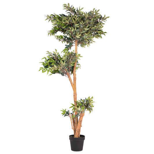 Kunstpflanze Ficus Ruscus Echtholzstamm in verschiedenen Größen