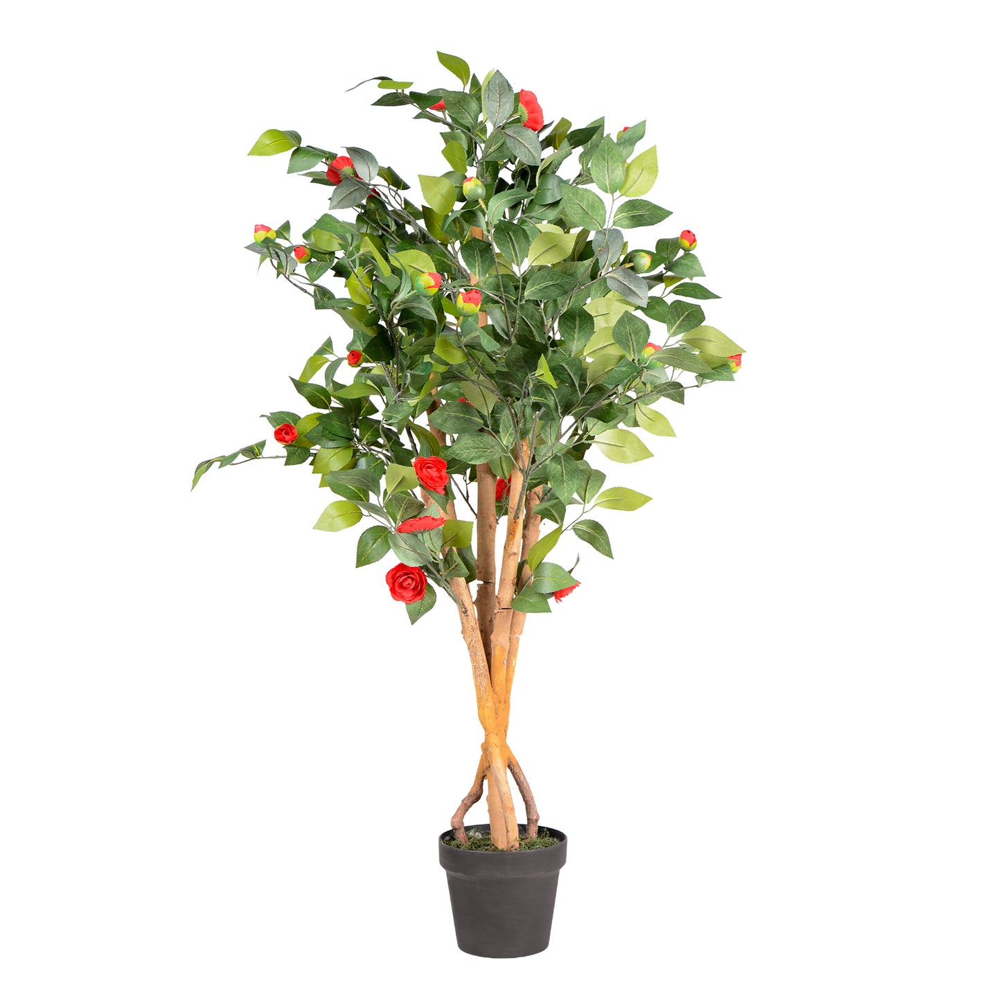 Kunstpflanze Kamelie Echtholzstamm in verschiedenen Größen